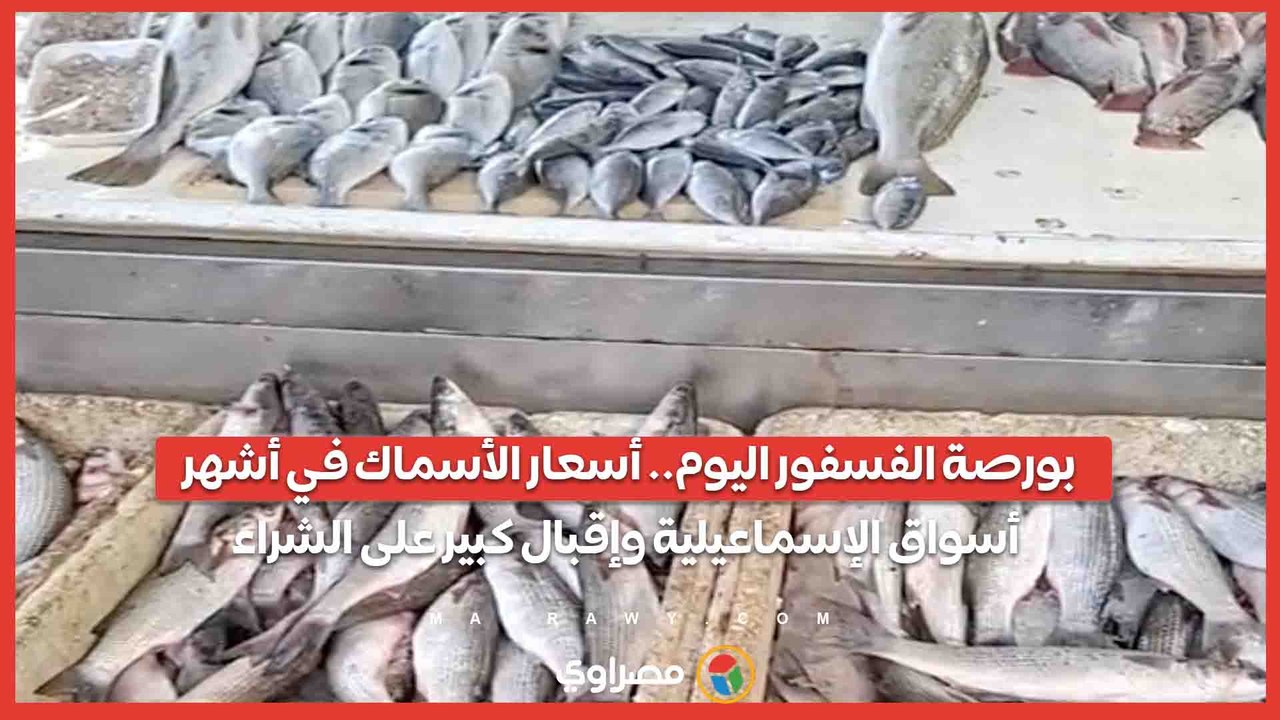 بورصة الفسفور اليوم.. أسعار الأسماك في أشهر أسواق الإسماعيلية وإقبال كبير على الشراء