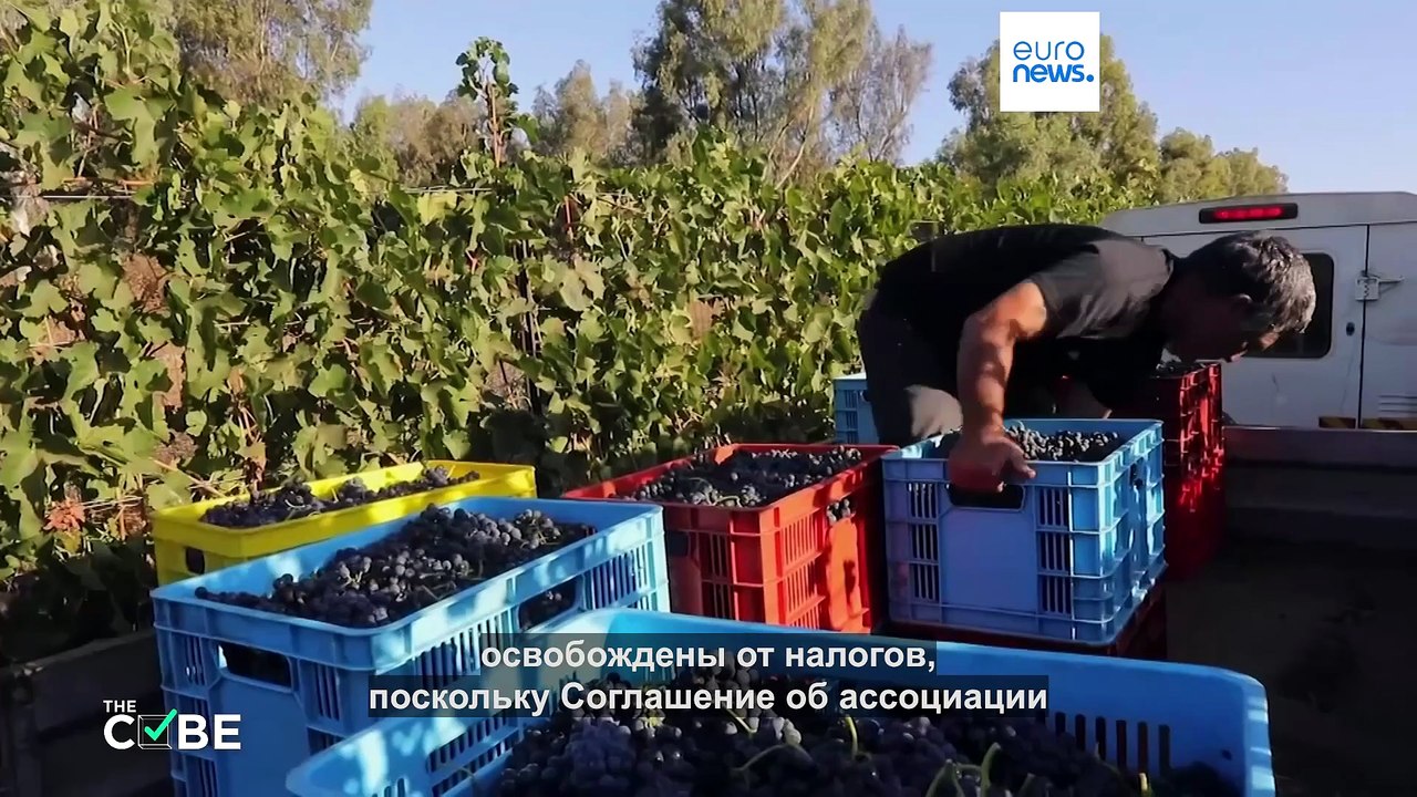 Могут ли страны ЕС ограничить импорт товаров из...