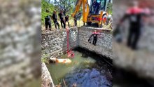 Malatya'da sulama havuzuna düşen inek, halatla çıkarılıp kurtarıldı