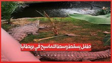 امرأة تنقذ طفلًا سقط وسط التماسيح في بريطانيا