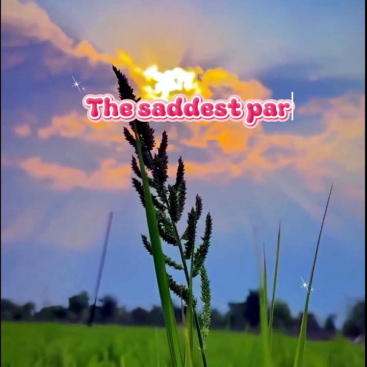 ❤️‍