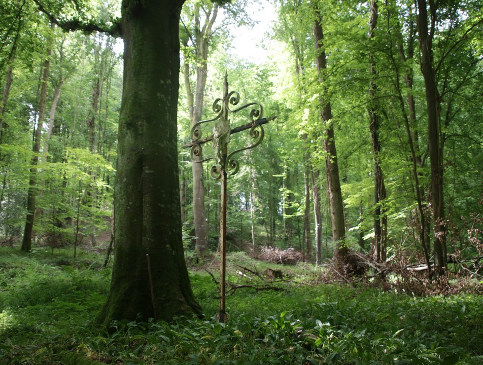 Tués à 19 ans par un orage dans la frêt d'Eu, il y a 90 ans