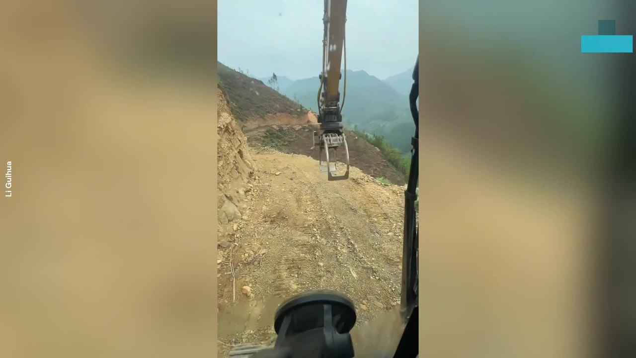 Timber Grabber Shows Surgical Precision in Satisfying Forestry Display