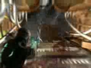 Dead Space - Demembrement