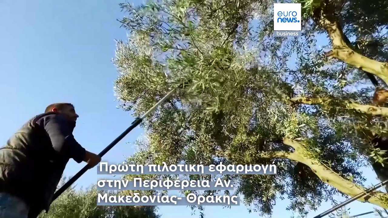 Δεξιότητες με βάση τη ζήτηση: Το ελληνικό εργαλ...