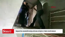 Bingöl’de inşaatın asansör boşluğuna düşen 2 inek kurtarıldı