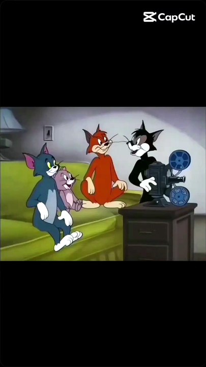 7048
