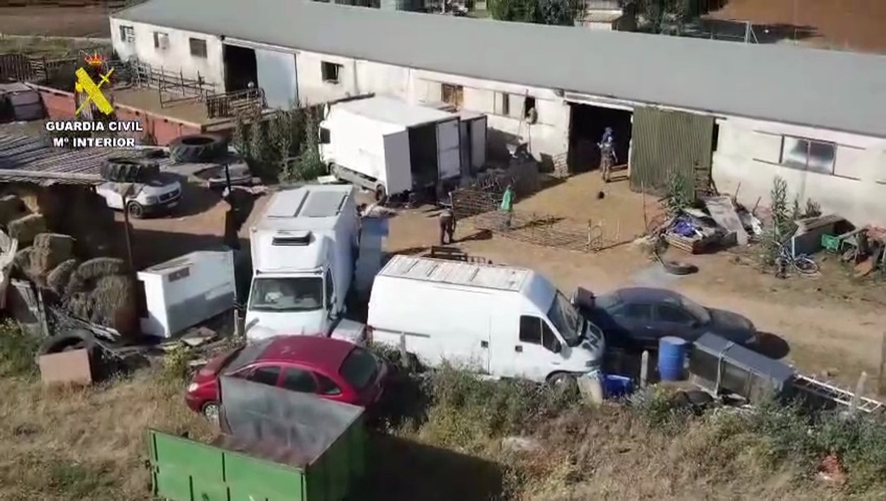 Un detenido y dos investigados por la venta de carne de cordero sin controles sanitarios en un pueblo de Toledo