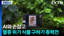 AI와 손잡고 멸종 위기 식물 구하기 총력전 / YTN