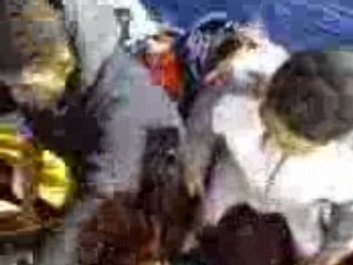 tentative d'immigration clandestine harraga