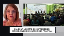 Día de la libertad de prensa en México | Celia Del Palacio