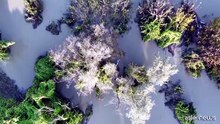 Fiume Po, tredici interventi di rinaturazione per futuro sostenibile
