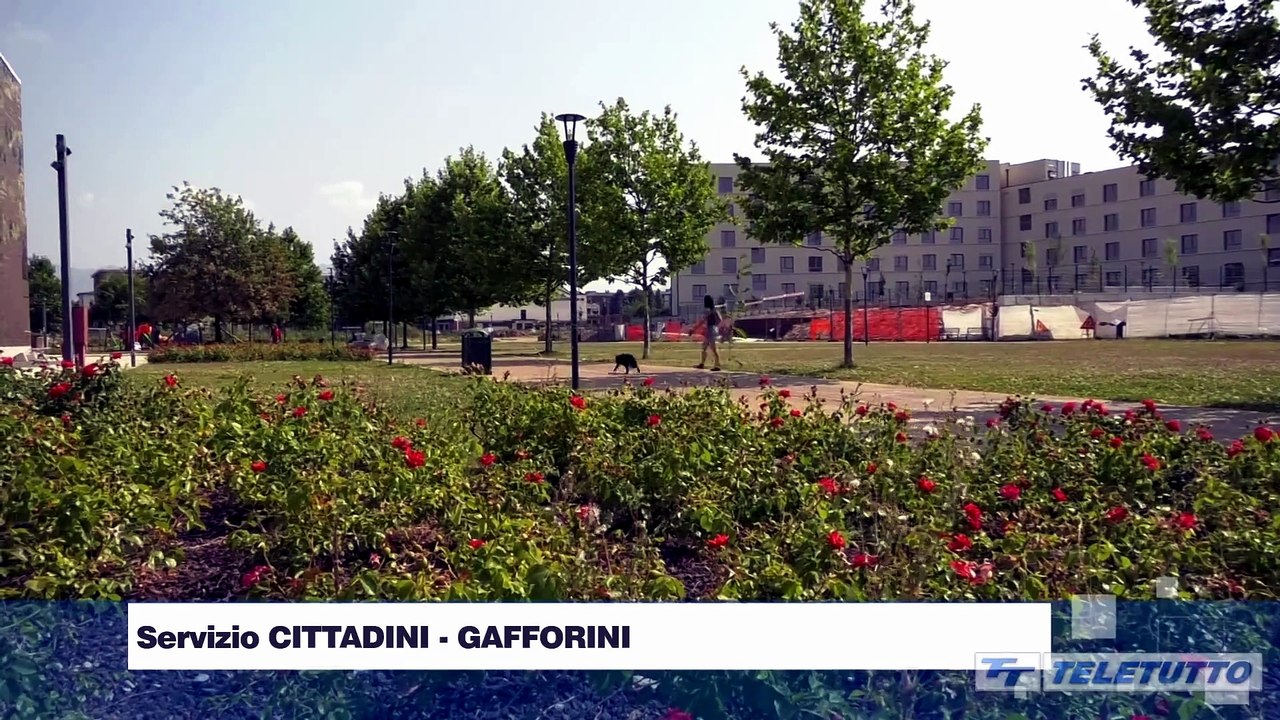 Video News - Aggressione al parco: il caso accende la politica