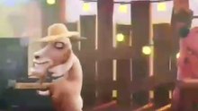 Hayday Dansçıları 30 Dakikalık Video