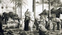 لطمية شاه نزل في كربلا وزينها