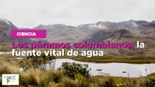 Los páramoscolombianos, la fuente vital de agua