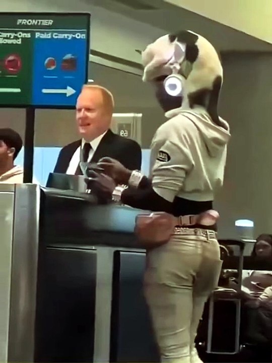😹✈️ Une femme a discrètement fait entrer son chat à l’aéroport en le faisant passer pour un chapeau posé sur sa tête. 🎩🐱😂