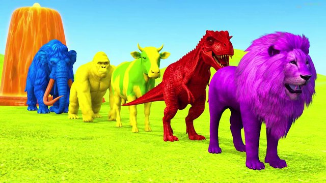 Paint Animals Gorilla Cow Tiger Lion Elephant Fountain Crossing Animal Cartoon