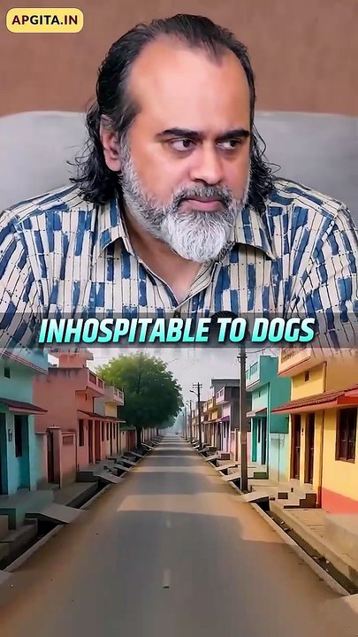 Urban Dogs || Acharya Prashant