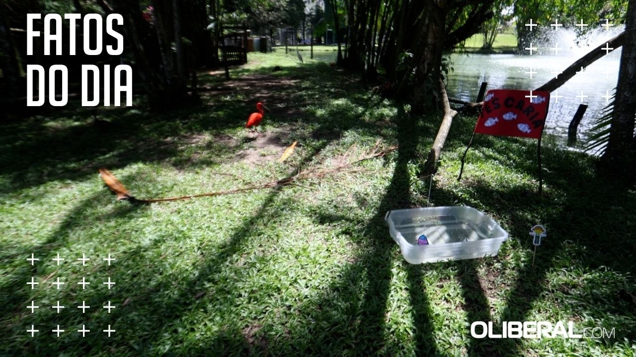 Animais recebem enriquecimento ambiental junino no Mangal das Garças, em Belém