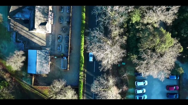 Ice Twister (2026) - Trailer