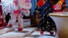【红果短剧合集】 《日夜妄想》是由何健麒、孟娜主演