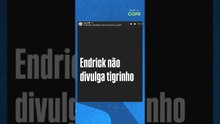 Luana Piovani defende que Endrick jogue pela Seleção na Copa #shorts