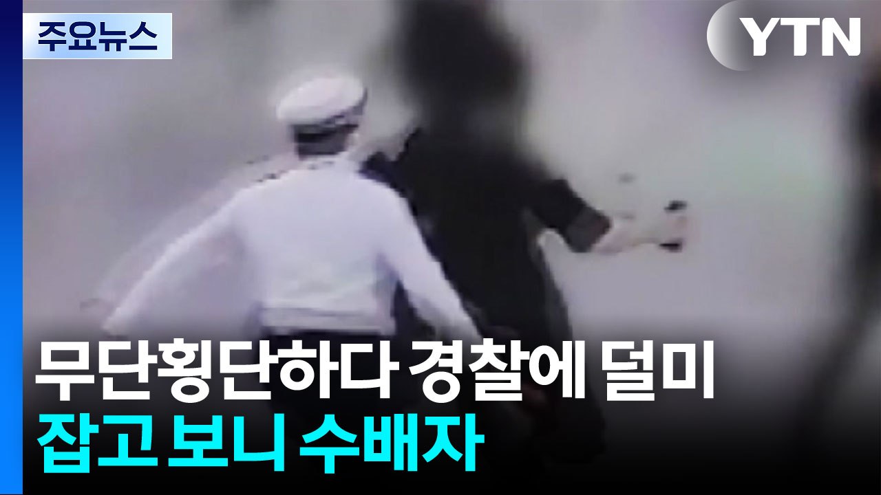 무단횡단하다 경찰에 덜미...잡고보니 수배자 / YTN