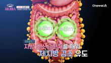 잘게 쪼개진 탄수화물을 큰 덩어리로 만드는 BNR17의 모든 것!