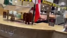 Village Taste Restaurant in Mississauga, ON, Canada - Viral Reel