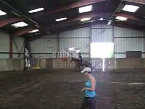 jul et luna en premier cour de saut d'obstacle