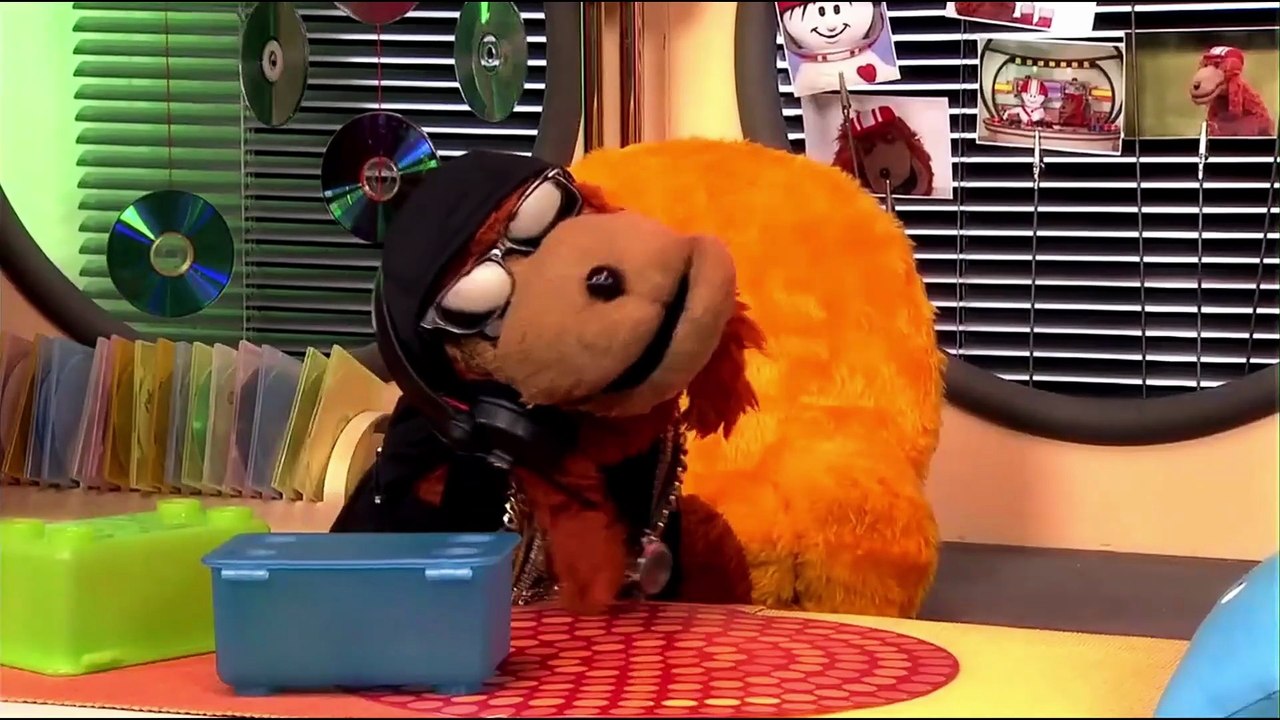 Hip-Hop-Hund: Der Cockpit-Rebell