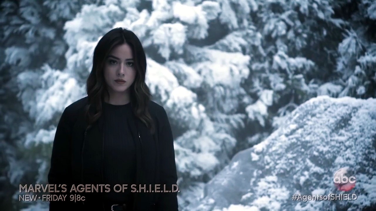 Marvel : Les agents du S.H.I.E.L.D.