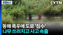 폭우에 도로 침수...낚시꾼 고립·나무 쓰러짐 피해 / YTN