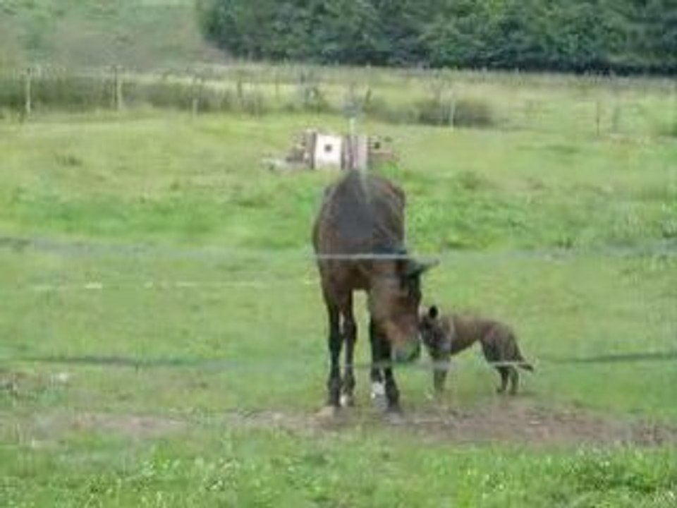 Vidéo 23 juin