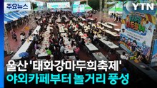줄 당기기·수상체험까지!...태화강마두희축제, 열기 / YTN