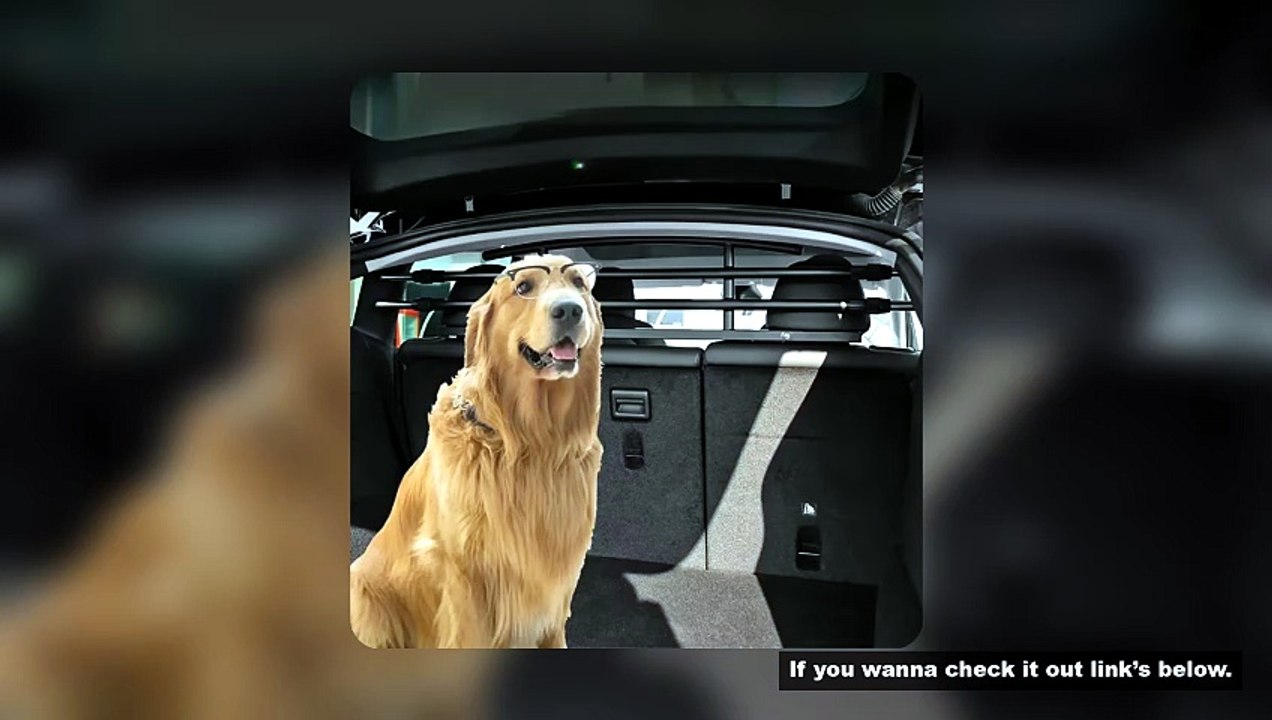 Trunk Pet Dog Railing for Tesla Model Y Juniper 2025+ Car Barrier Trunk on-board Pet Railing Rear Se