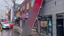 부산 강풍주의보...간판 떨어지고 가로수 쓰러져 / YTN