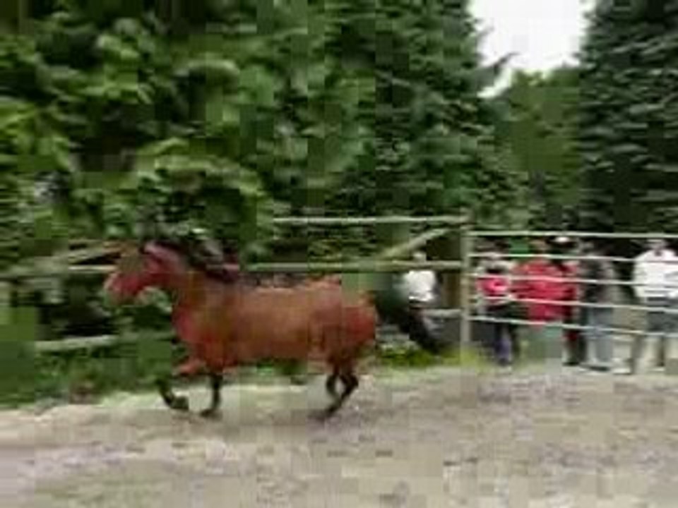 Razi sauts en liberte preparation