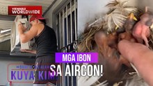 Aircon, ginawang pugad ng mga bagong pisang ibon?! | Dami Mong Alam, Kuya Kim!