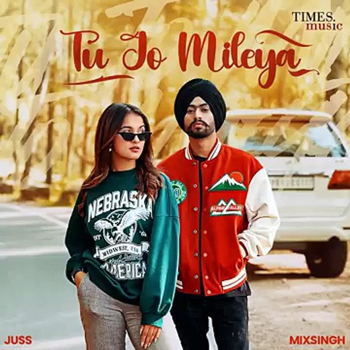 Tu Jo Mileya [song] hindi