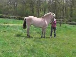 Déplacement des hanches