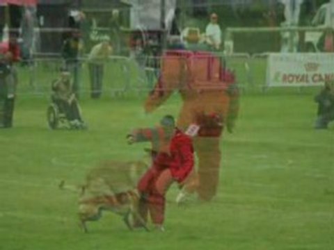 udex du banc des hermelles bernard roth final de ring 2008