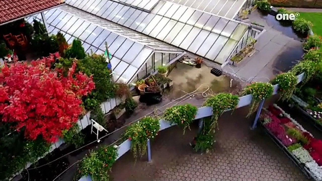 Rote Rosen Folge 1795 - Ein guter Freund an der Seite