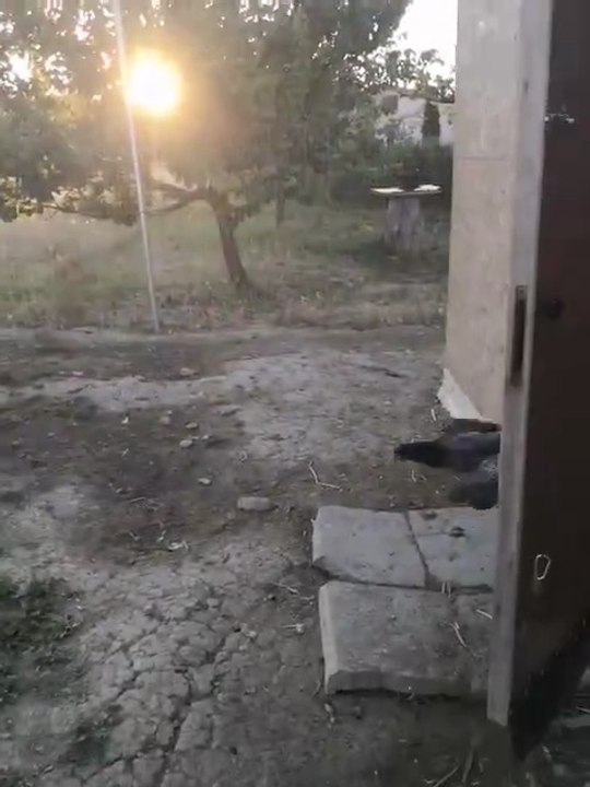 Apertutra Porte Galline