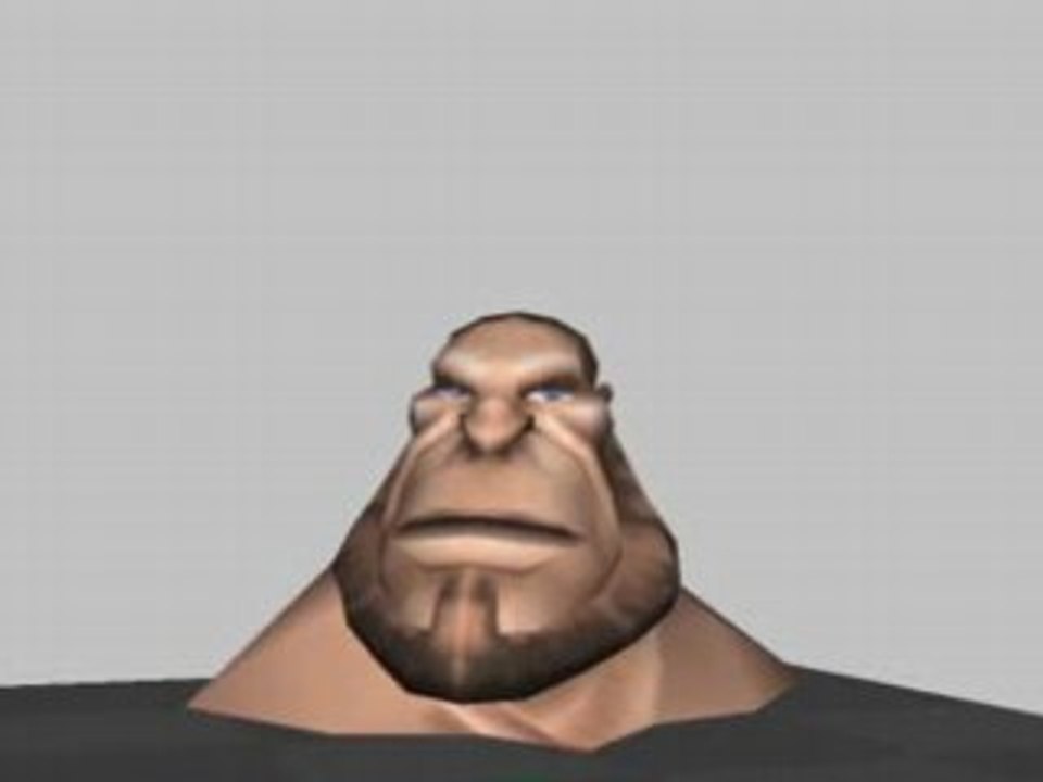 FacialAnim