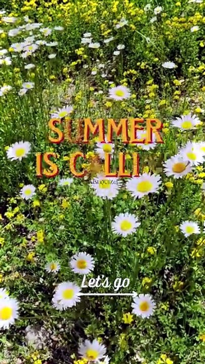 Yellow and Green Vintage Trend Style Summer Is Calling TikTok Video