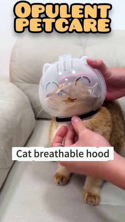 Pet Space Hood – Anti-Scratch & Bite Recovery Cone for Cats