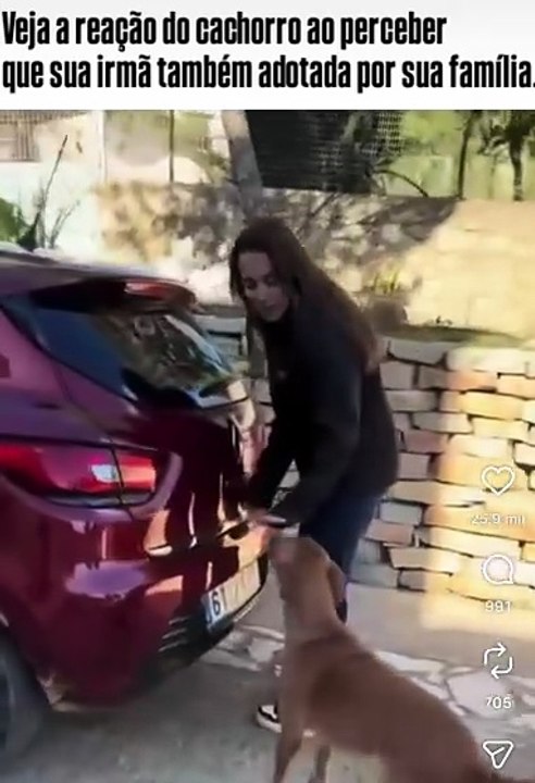 Amor e Princípio Inteligente