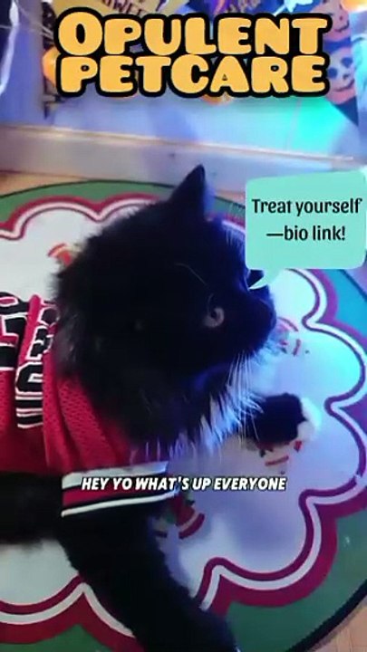 Pet Paw Trimmer